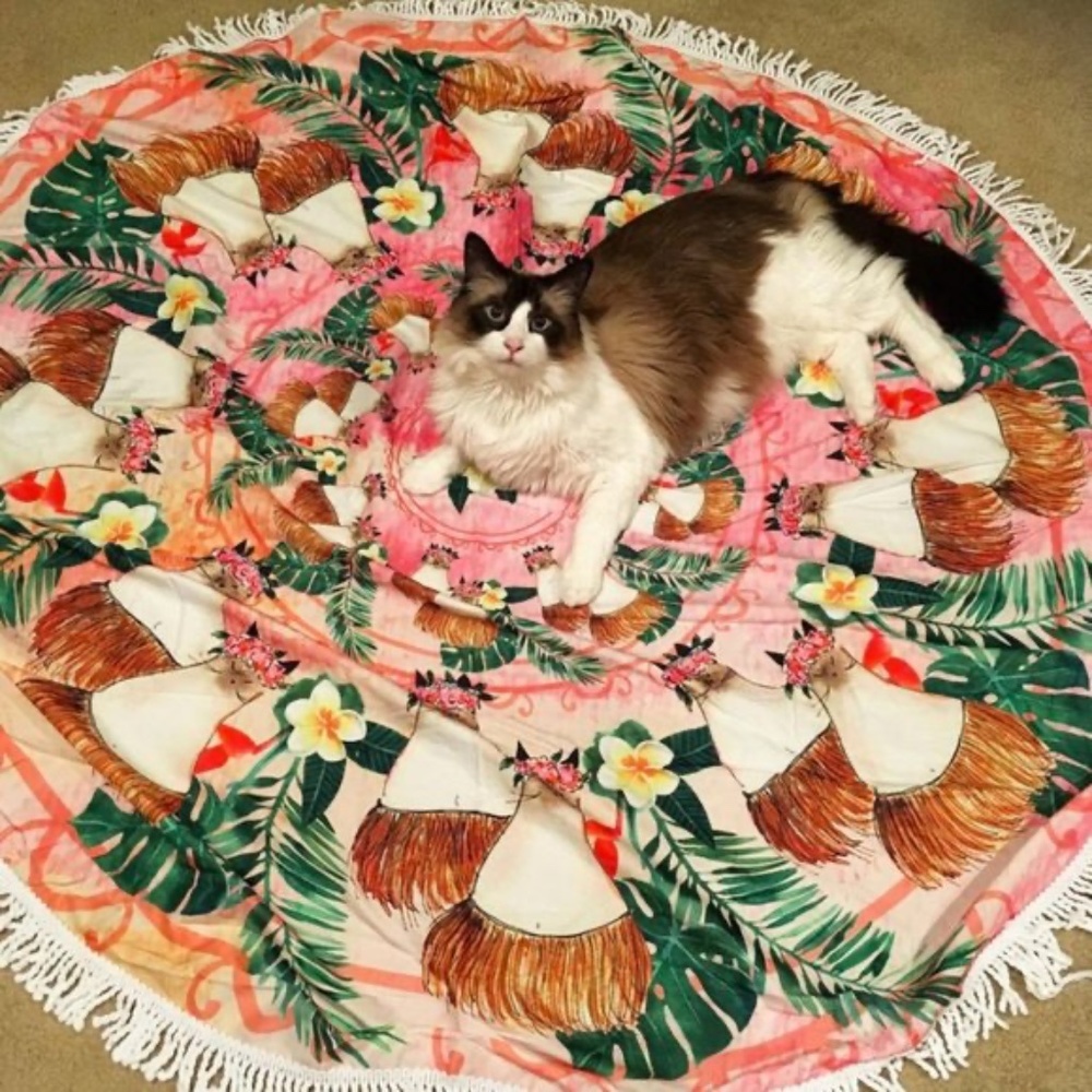 Hula Cats Beach Roundie BNIB - Picture 5 of 5